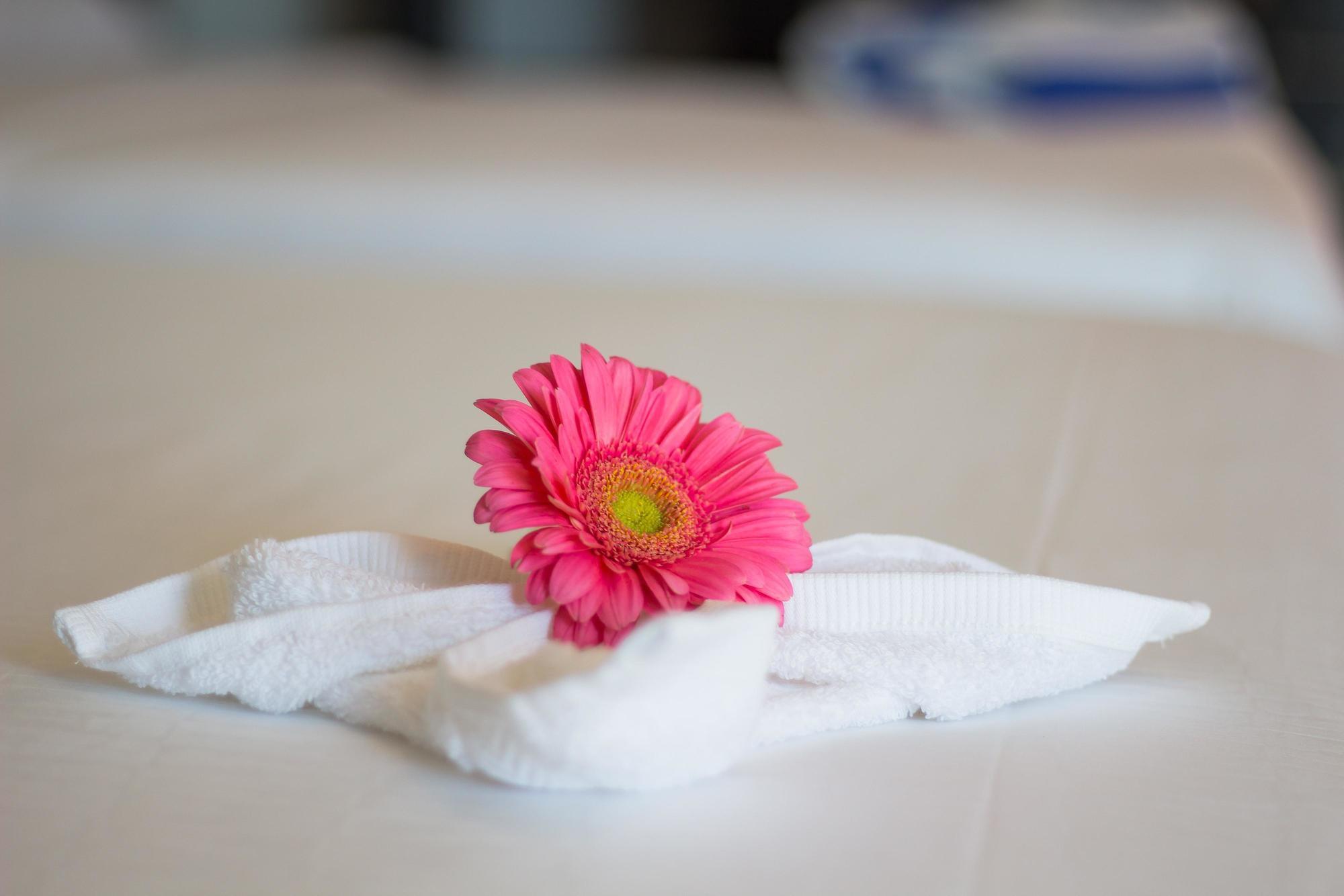 Sunrise 42 Suites Hotel Πλάγια Ντελ Κάρμεν Εξωτερικό φωτογραφία
