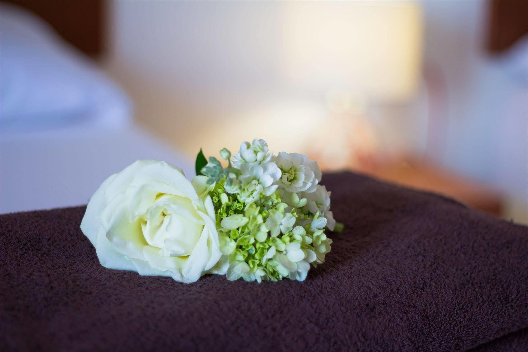 Sunrise 42 Suites Hotel Πλάγια Ντελ Κάρμεν Εξωτερικό φωτογραφία